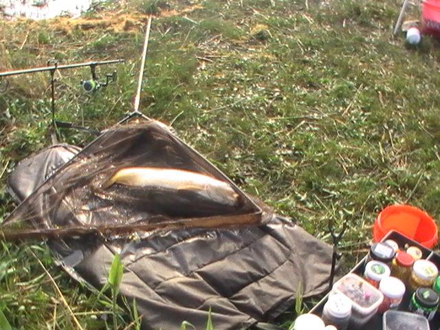 17-19 mai 2013 ziua  - copy-of-pic0808.JPG